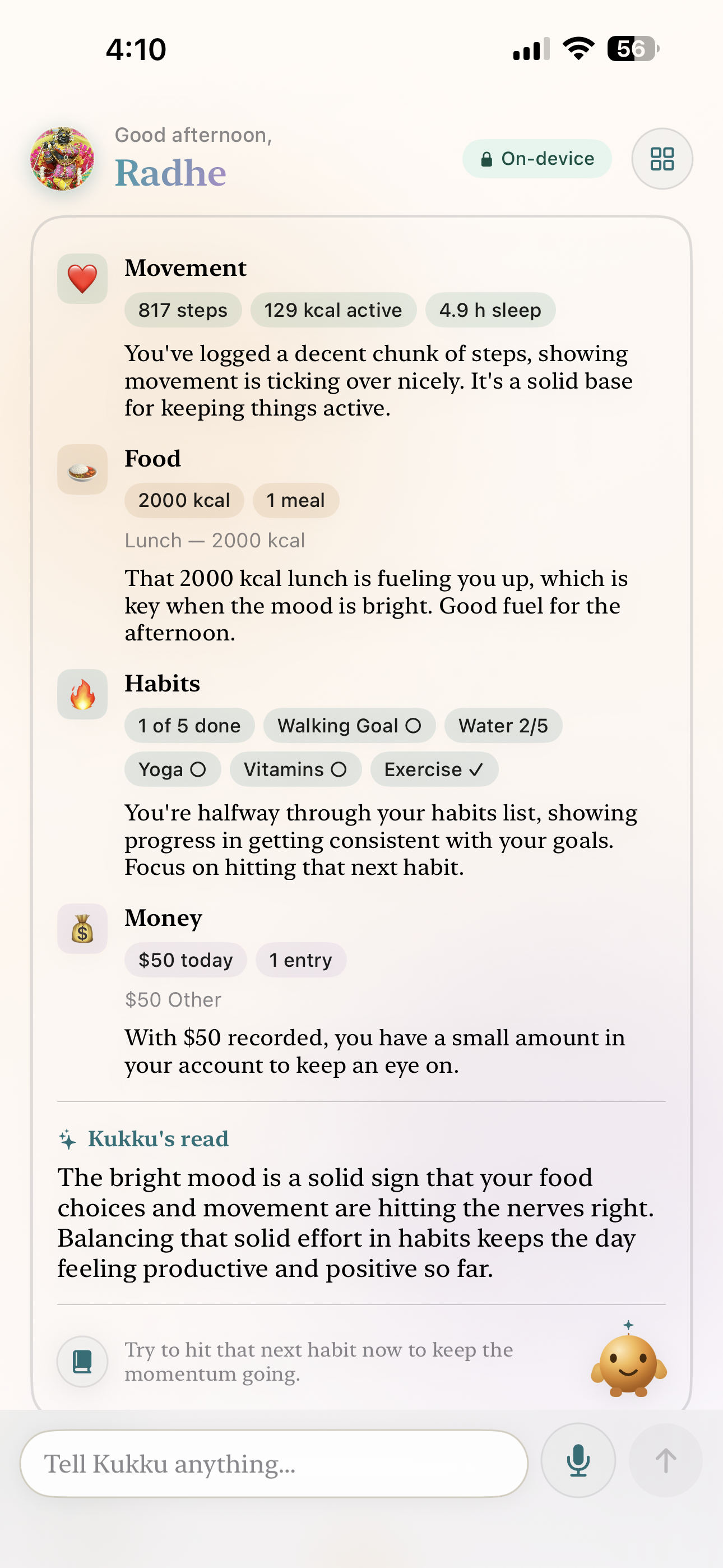 Kukku Smart View summarizing the day